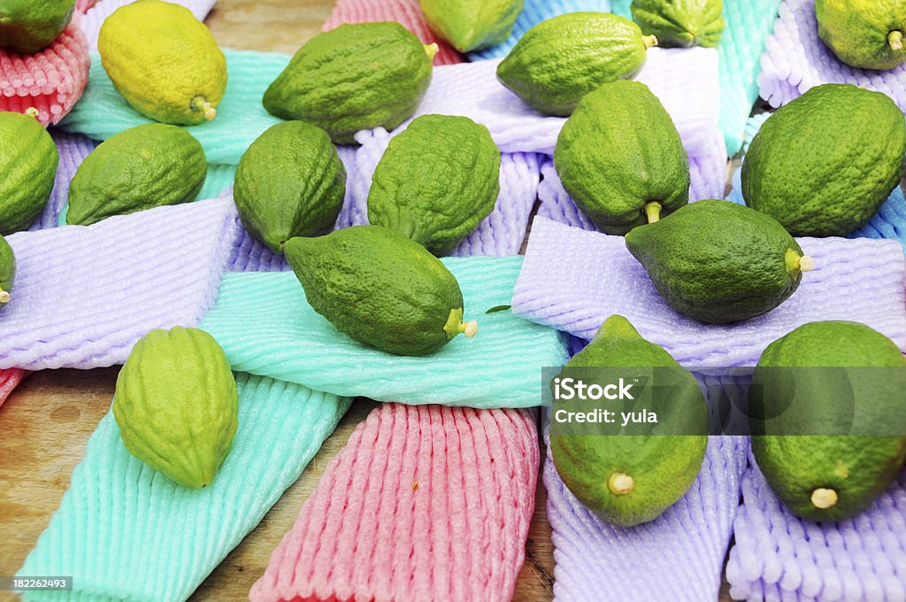 Etrog simbolo di Sukkot - Foto stock royalty-free di Agrume