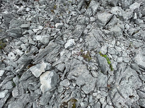 Karst rock in the beautiful Burren region in County Clare - Ireland