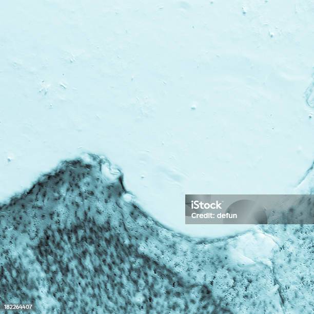 Neurónios Hippocampal De Cérebro De Rato Com - Fotografias de stock e mais imagens de Ampliação - Ampliação, Anatomia, Animal