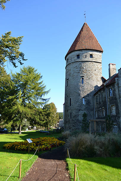 istock Tower of town wall in Tallinn 182265279