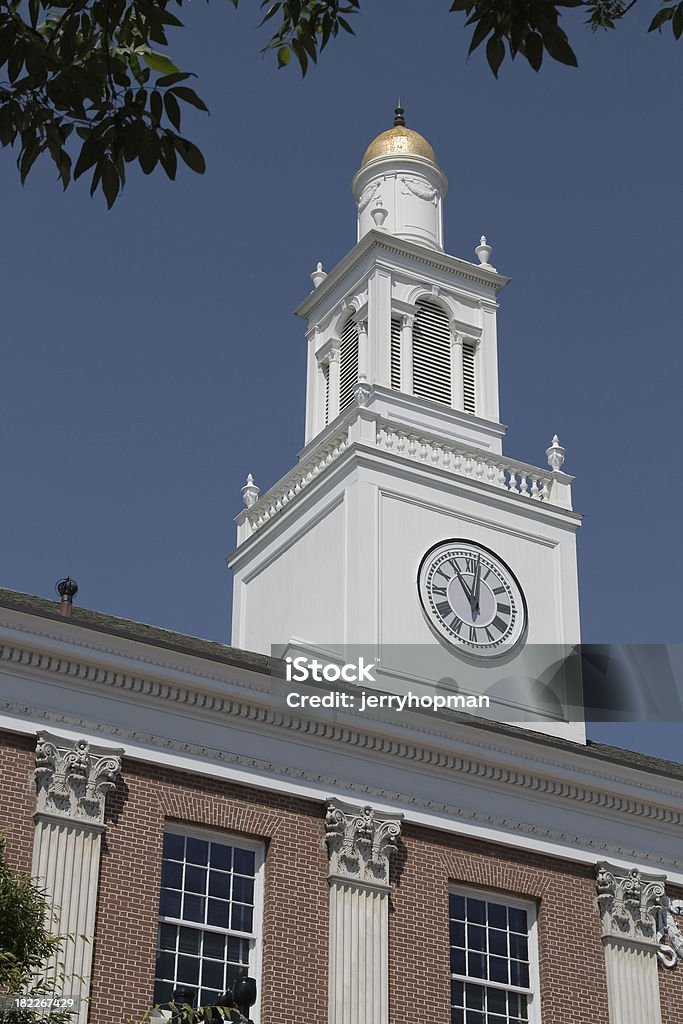 Palacio Municipal de Burlington - Foto de stock de Aguja - Chapitel libre de derechos