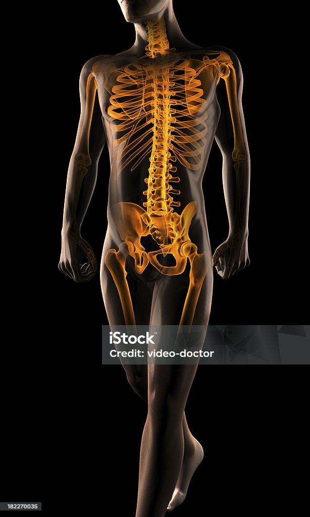 Radiografia umano scansione - Foto stock royalty-free di Adulto