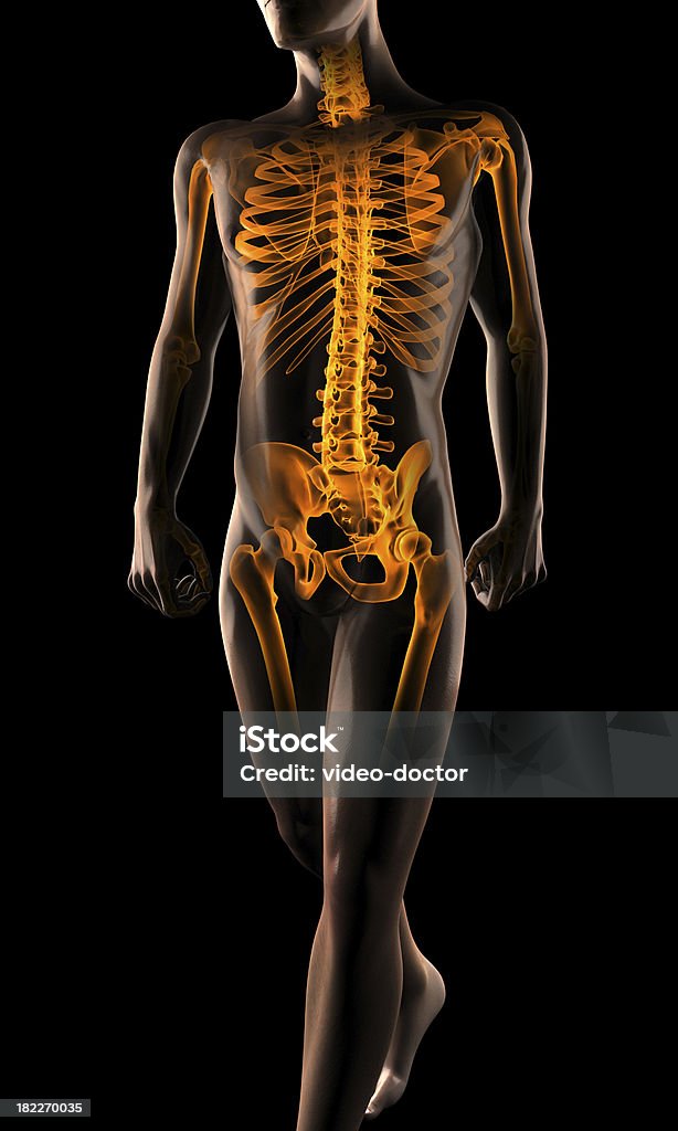 휴머니즘 방사선 촬영 스캔 - 로열티 프리 X-레이 스톡 사진