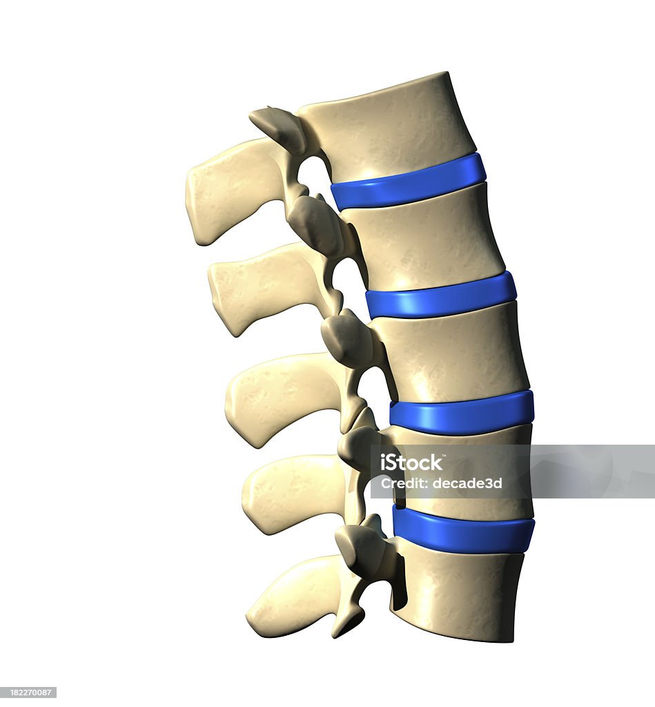 В поясничном отделе позвоночника-боковой вид сбоку - Стоковые фото Анатомия роялти-фри
