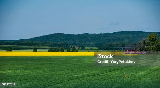 Paisaje De Escandinavo Foto de stock y más banco de imágenes de Aire libre - Aire libre, Amarillo - Color, Archipiélago