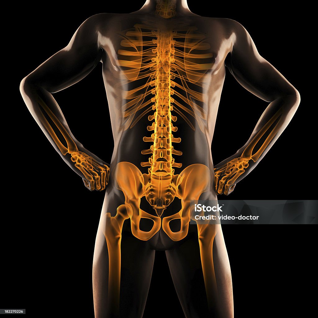 Człowieka Radiografia skanowania - Zbiór zdjęć royalty-free (Anatomia człowieka)