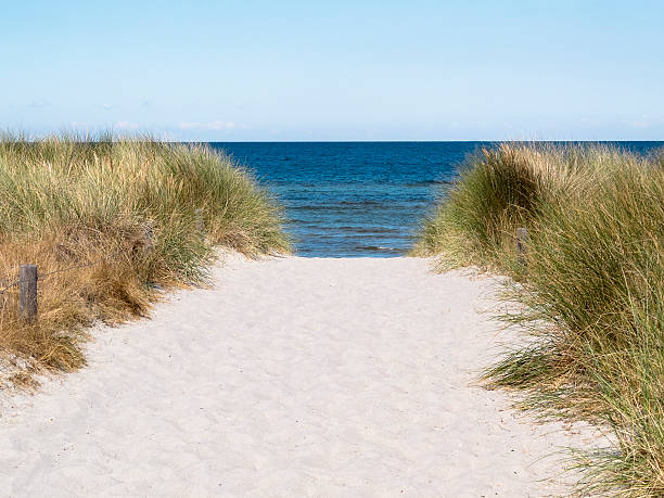 istock Way to the sea 182270316