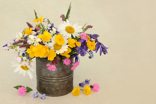 English wildflowers and grasses in an old metal vase on hemp paper background. Summer meadow and woodland flower arrangement with flowers also used in natural herbal medicine.