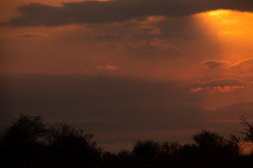 Dramatic sunset at Falls Creek with dead burnt trees in silhouette