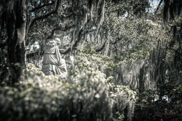 Photo of Statue of an angel under trees with spanish moss on a cemetry in South Carolina