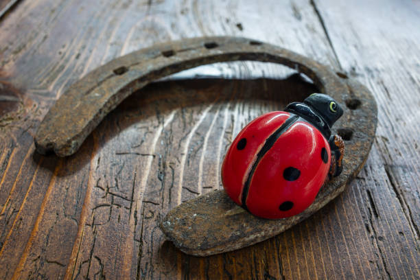 Horseshoe and ladybug for good luck