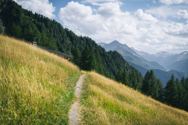 sentiero che conduce al bosco e alle montagne - film tilt foto e immagini stock