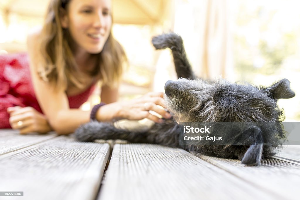 Young girl rubs the belly of a scraggly dog on its back Young woman petting her black dog on a wooden porch. Dog Stock Photo