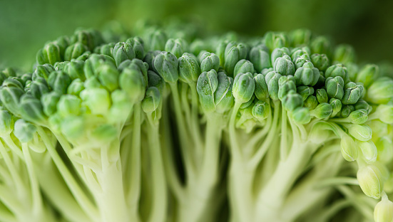 background of broccoli inflorescences, extreme close-up