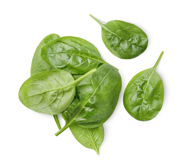 istock pile of spinach leaves 1822744848