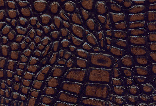 istock brown and black crocodile leather texture 182276222