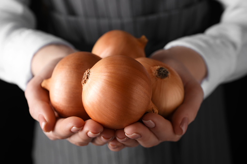 Woman holding ripe onions on black background, closeup
