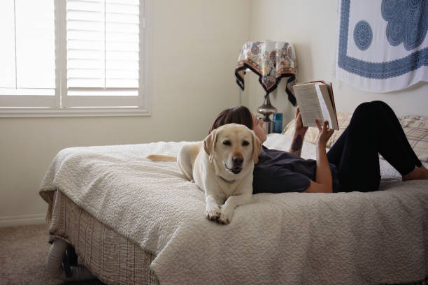 istock Woman reading with her dog 1822765750