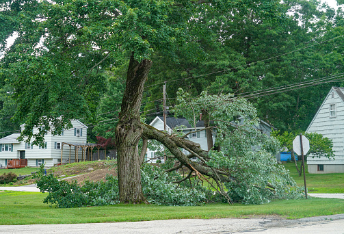 Dangerous fallen tree branch in residential neighborhood caused by storm