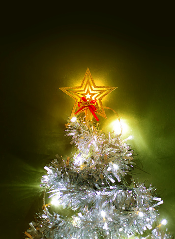 Decorate the tree inside your house with decorative rainbow, star and light to celebrate Christmas night.