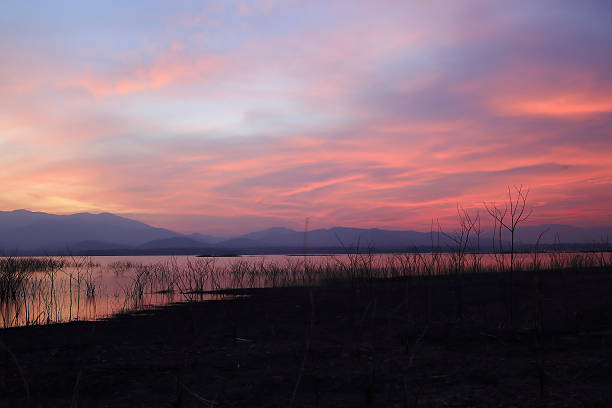 istock Sunset  silhouette tree on the lake 182279891