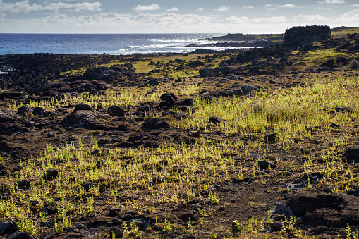 Remains of stone structures along the northern coast of Easter Island with the Poike volcano in the background, Easter Island, Chile