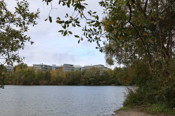 istock Lake Frankfurt Germany 1822838937