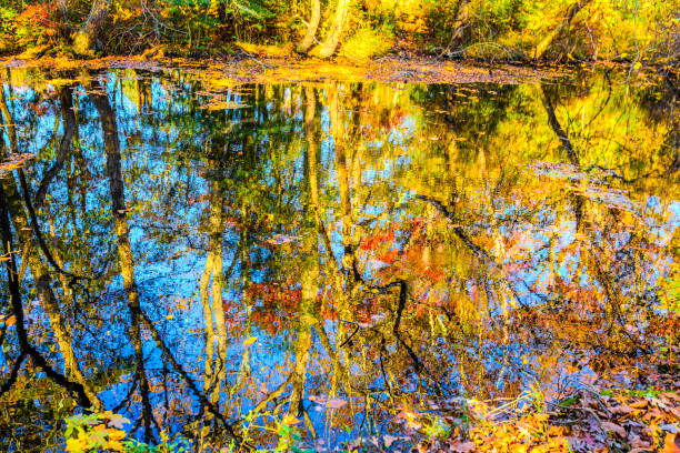 istock Beautiful colorful Nature Fall Scenery 1822878134