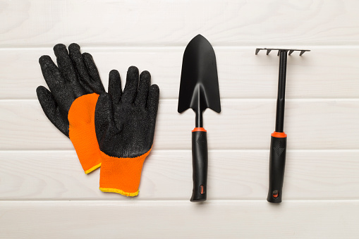 A pair of work gloves isolated on a white background.