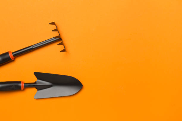 istock Gardening tools on color background, top view 1822893443