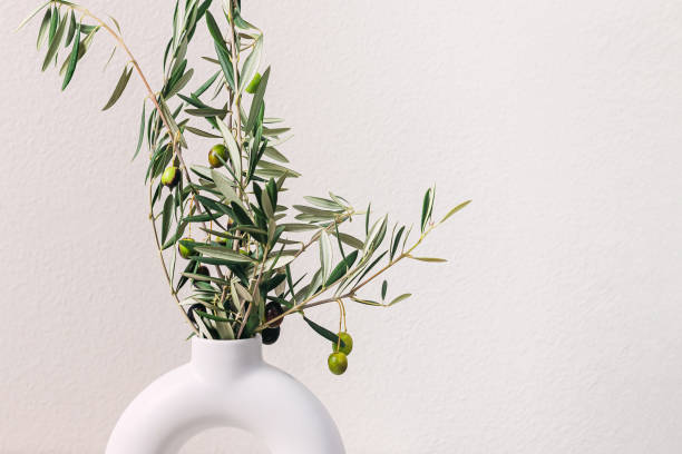 istock Close-up of olive branches in the vase 1822900510