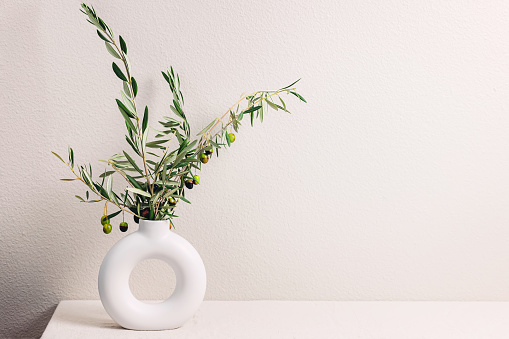 Vase with olive tree branches over the light gray wall, modern minimal design interior
