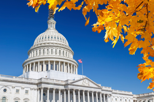 US Capitol with autumn leaves