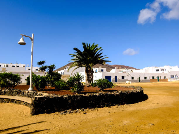 istock Landscape in Tropical Volcanic Canary Islands Spain 1822904828