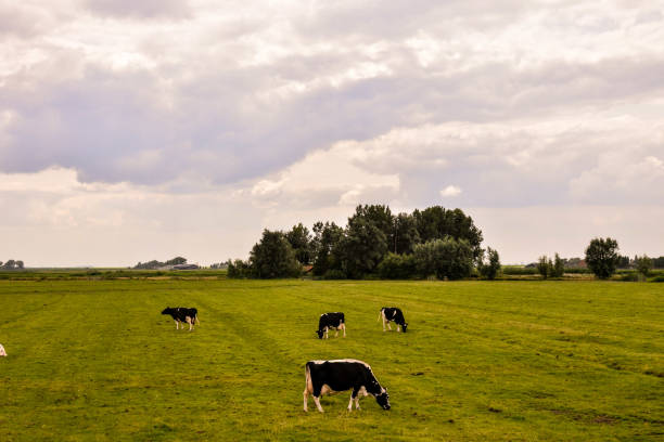 istock European natural countryside 1822904832