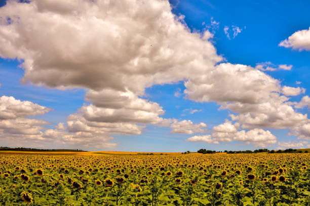 istock European natural countryside 1822905384