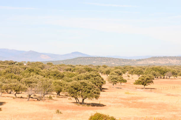 istock European natural countryside 1822905401