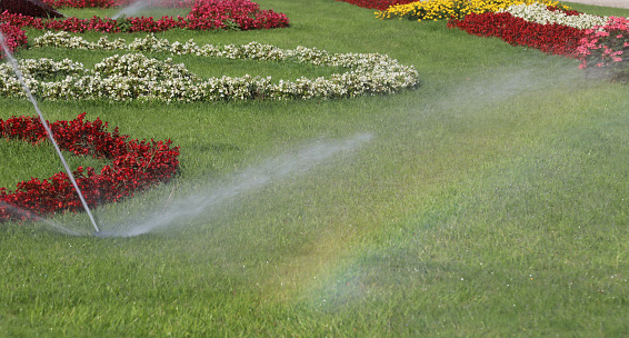 colorful rainbow reflections during automatic watering of flower beds in summer