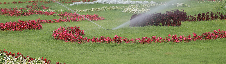 automatic watering of flower beds in summer in a well-kept garden without people