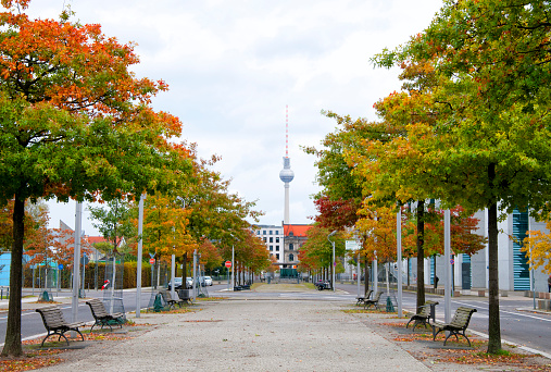 Street in Autumn. TV Tower in the background. Berlin.