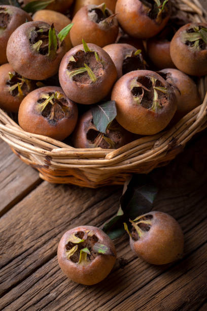 istock Fresh ripe organic common medlar fruit, Turkish name; musmula 1822971310