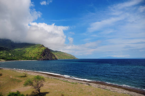 istock Suvida Beheda, East Timor: beautiful beach 182298355