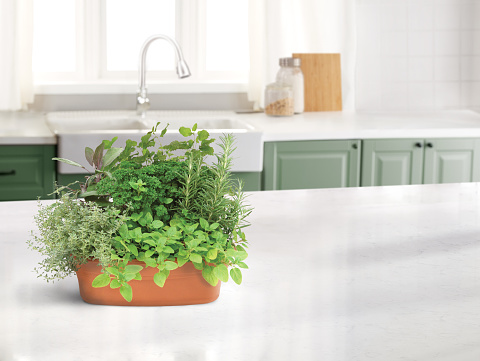 Kitchen herbs in a planter on a marble counter top and sink in the background