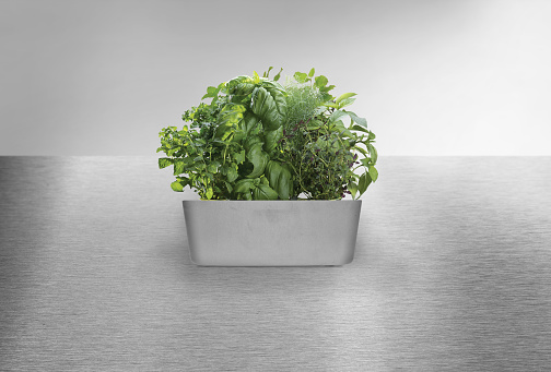 Assorted kitchen herbs in a planter on a countertop