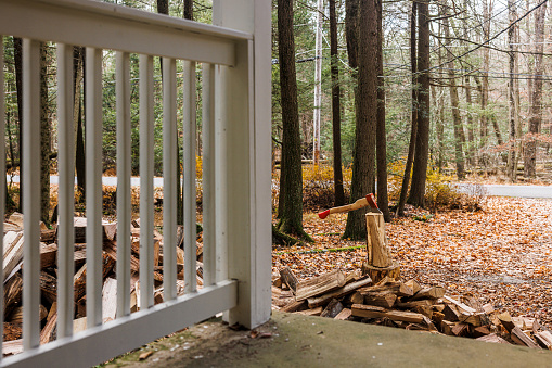 Firewood-to-be: arranged wood pieces, ready for winter use, await their turn in the house yard in woodland