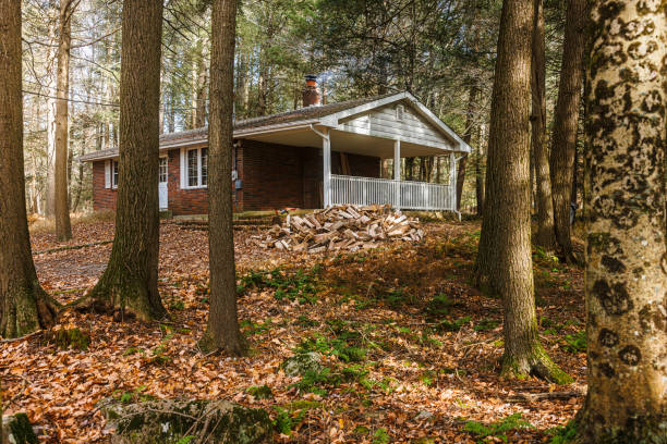 Stacked timber — firewood as stocks for winter season. Lonely brick house in the woods