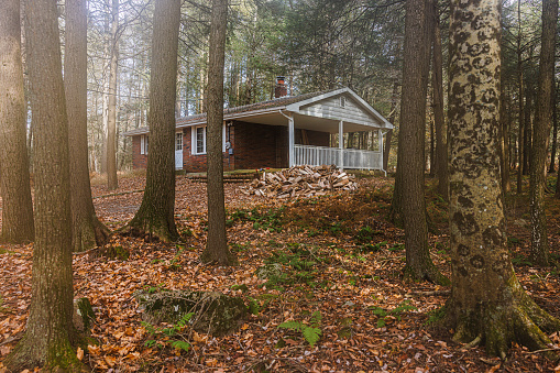 Remote house in forest with stacked firewood in the yard. Looking through the tree trunks in autumn season