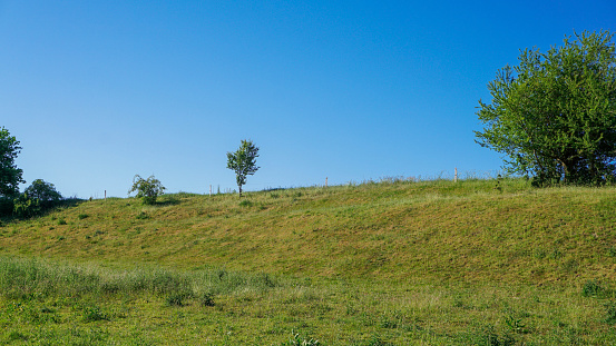 Grass hill with trees and blue sky, copy space - Stock photo