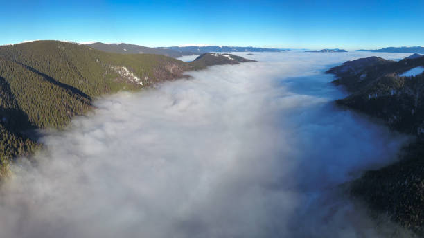 istock Fog mixing with woodlands 1823019951