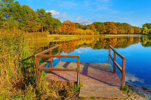 Serene autumn landscape featuring a small wooden dock on the edge of a forest lake.